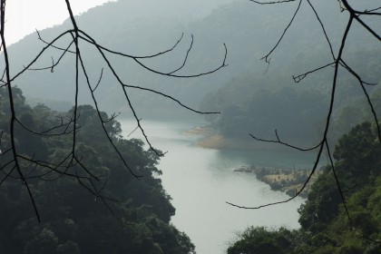 Shing Mung Country Park
