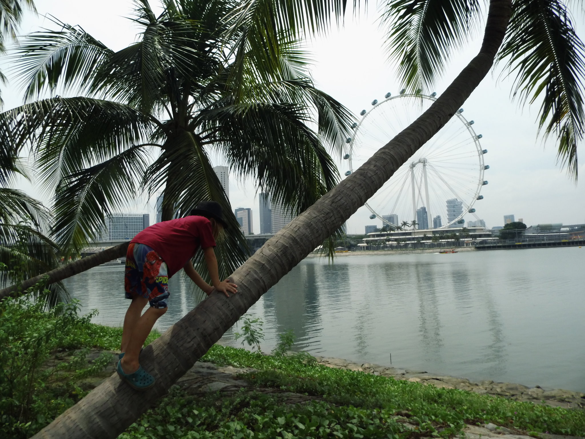 Singapur